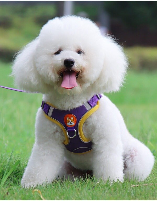 Arnés para perros y gatos, correas reflectantes para perros, correa de pecho de malla suave