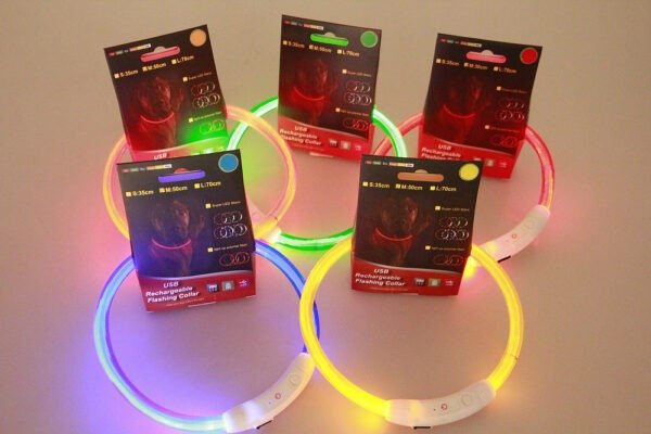 Collar intermitente para mascotas, recargable por USB, luminoso, de seguridad, para paseos nocturnos, eléctrico, neón