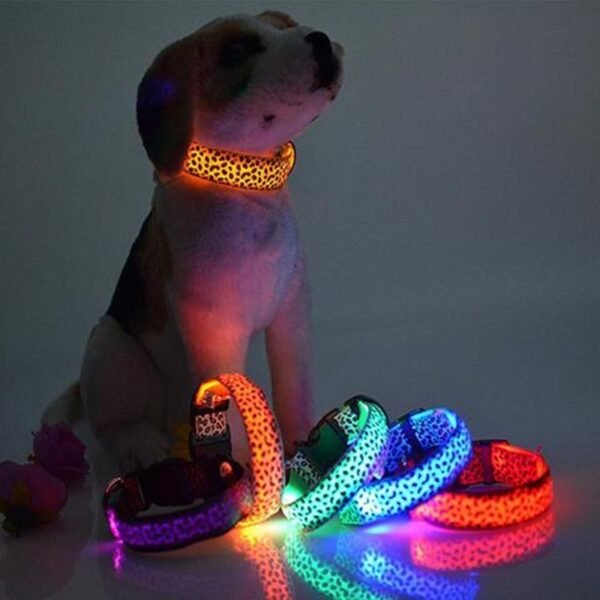 Collar LED de seguridad para perros, ajustable, de nailon, con diseño de leopardo