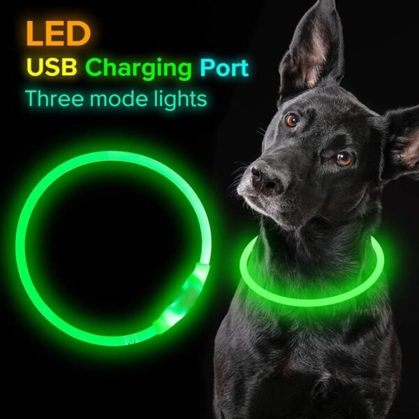 Collar intermitente para mascotas, recargable por USB, luminoso, de seguridad, para paseos nocturnos, eléctrico, neón