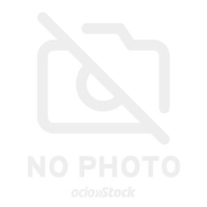 Juego de cartas Espiritu ¿Estas ahí? One Piece español